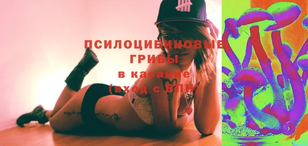 крисы Армянск