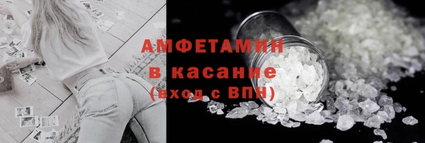 индика Алзамай