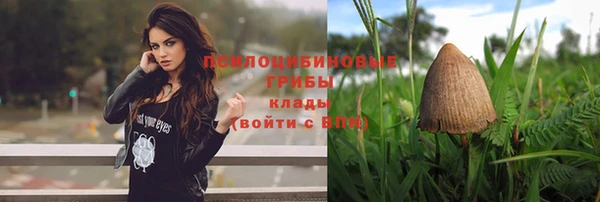 амф Алексеевка