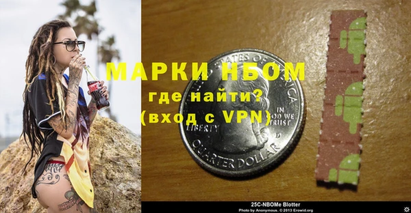 индика Алзамай
