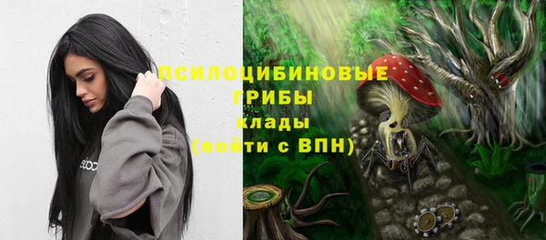 индика Алзамай