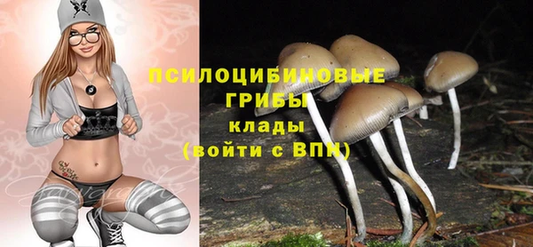 амф Алексеевка